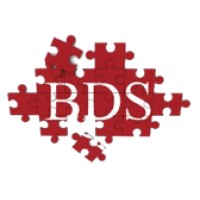 Business Development Solutions logo - Similar company to Launchuae