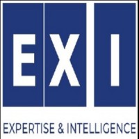 EXI logo - Similar company to Expertise & Intelligence