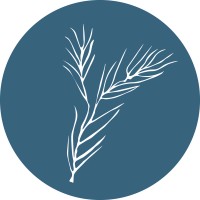 Pinyon Public Affairs logo - Similar company to Bipartisan Climate Fund