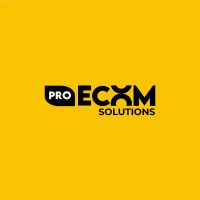 Pro Ecom Solutions logo - Similar company to Lesa Collection ( Usa )