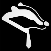 Badger Solutions logo - Similar company to Cloud Ingenuity