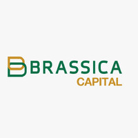 Brassica Capital Gh logo - Similar company to Rayven Ltd