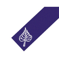 Business and Community Foundation logo - Similar company to Beyondiversity