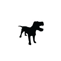 Dream Force One logo - Similar company to Dream Forces Ltd