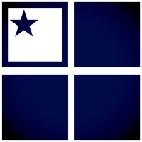 Financial Synergies Wealth Advisors logo - Similar company to Financial Advisor Network, Llc