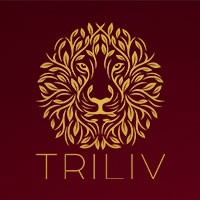 Triliv Holdings logo - Similar company to Ocube Services