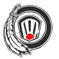 Origins Lacrosse Club logo - Similar company to Us Box Lacrosse Association