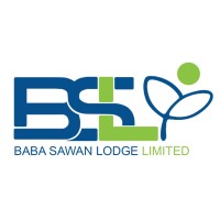 BSL CARE logo - Similar company to Dignus Group