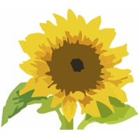 NGO 