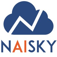 Naisky logo - Similar company to Zinormous Technologies