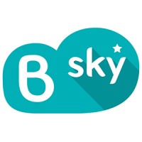BSKY INTERNATIONAL logo - Similar company to 28 Design