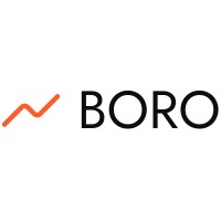 Boro Oy logo - Similar company to Vita Accelerator