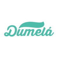 Dumela Sports logo - Similar company to Re-Active