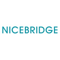 NICEBRIDGE logo - Similar company to Gluon Studios Gmbh