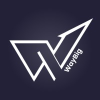 Waybig India