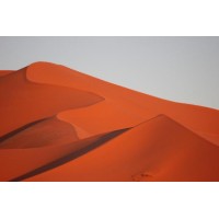 Morocco Private Tour logo - Similar company to Lfen.Ma
