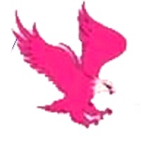 Se Deus Quiser logo - Similar company to Wongo
