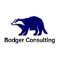 Badger Consulting