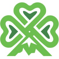 Camrock Advisors logo - Similar company to Electronifie