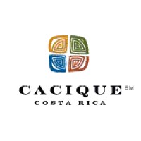 Punta Cacique logo - Similar company to Consuhotel