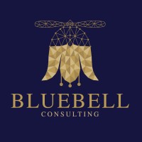 Bluebell Consulting logo - Similar company to Soteria Solutions