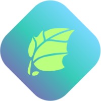 Silver Factory Technology logo - Similar company to Reluvate Technologies