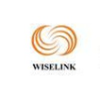 Wiselink Law Firm Shanghai