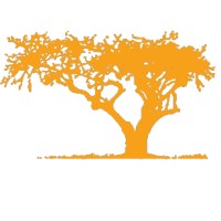 African American Legacy (Aal)