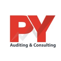 PY Auditing & Consulting logo - Similar company to Mediapak B2B