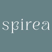 Spirea Consultoria logo - Similar company to Mybteam
