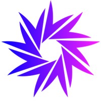 The Search Ninjas logo - Similar company to Chirosecure Malpractice Insurance