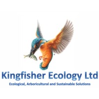 Kingfisher Ecology Ltd logo - Similar company to Elefantastic