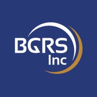 BGRS, Inc. logo - Similar company to Bgrs Ltd