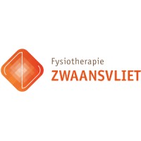 Fysiotherapie Zwaansvliet B.V. logo - Similar company to Proactief