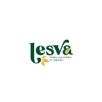 LESVA Sarl logo - Similar company to Smarttec Côte D’Ivoire