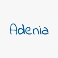 Adenia Web Development logo - Similar company to Everdrin