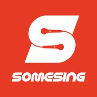 SOMESING logo - Similar company to Otocash Enterprise
