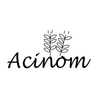 Acinom logo - Similar company to Villtek