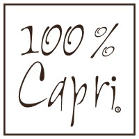 100% CAPRI ITALIA SRL logo - Similar company to Deimille