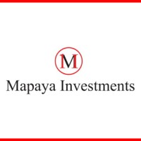 Mapaya Investments logo - Similar company to Scm Construction