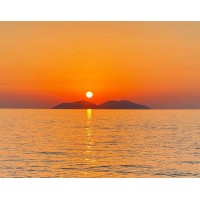 Explore Vlora logo - Similar company to Ldns Travels