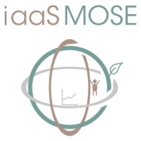 iaaSMOSE logo - Similar company to Logic Services