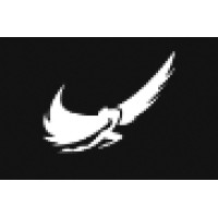 Icarus Jet inc logo - Similar company to Visaliv
