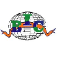 Brisk international cargo Inc logo - Similar company to Jp Canada Cargo Ltd.