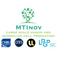 MTInov logo - Similar company to Infometrix