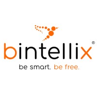bintellix GmbH logo - Similar company to Pharall
