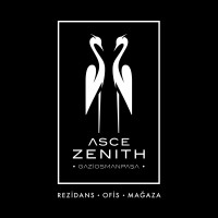 Asce Zenith logo - Similar company to Asce Gyo