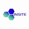 InSite Technical Services logo - Similar company to Vulcain Engineering - Uk