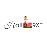 Hallo9x logo - Similar company to Androiders