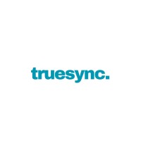 Truesync Global Pvt Ltd logo - Similar company to Ebasics Services (P) Limited